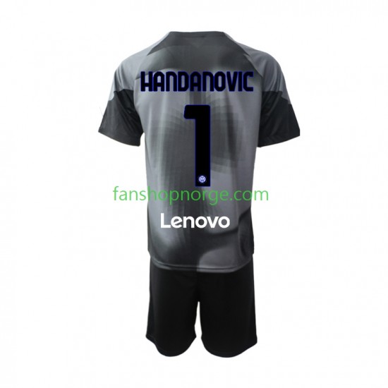 Billige Fotballdrakter Inter Milan Samir Handanovic 1 Keeper Barn Hjemmedrakt 2022-2023 Kortermet