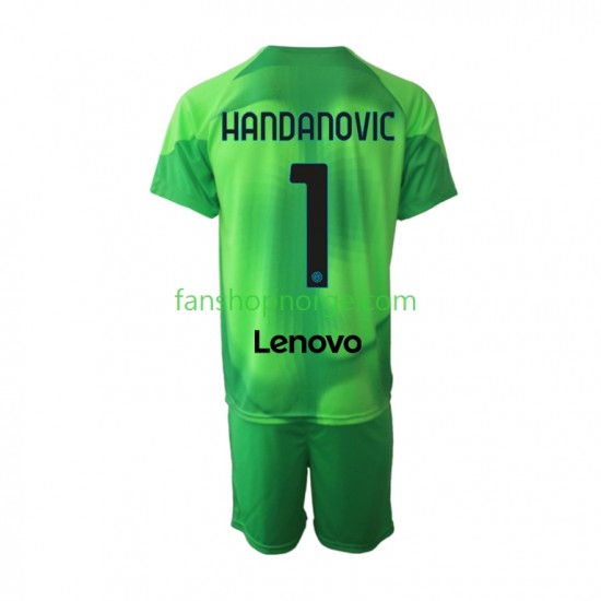Billige Fotballdrakter Inter Milan Samir Handanovic 1 Keeper Barn Tredjedrakt 2022-2023 Kortermet