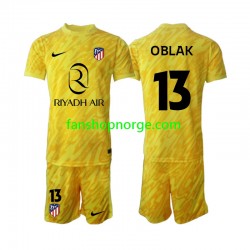 Billige Fotballdrakter Atlético Madrid Jan Oblak 13 Keeper Barn Tredjedrakt 2024-2025 Kortermet