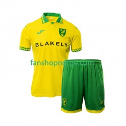 Billige Fotballdrakter Norwich City Barn Hjemmedrakt 2025-2026 Kortermet