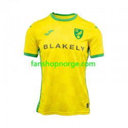 Billige Fotballdrakter Norwich City Herre Hjemmedrakt 2024-2025 Kortermet