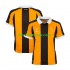 Billige Fotballdrakter Hull City Herre Hjemmedrakt 2026-2027 Kortermet