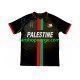 Billige Fotballdrakter Club Deportivo Palestino Center Stripre Herre Hjemmedrakt 2024-2025 Kortermet