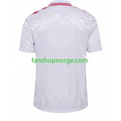 Billige Fotballdrakter Danmark Herre Bortedrakt Euro 2024 Kortermet