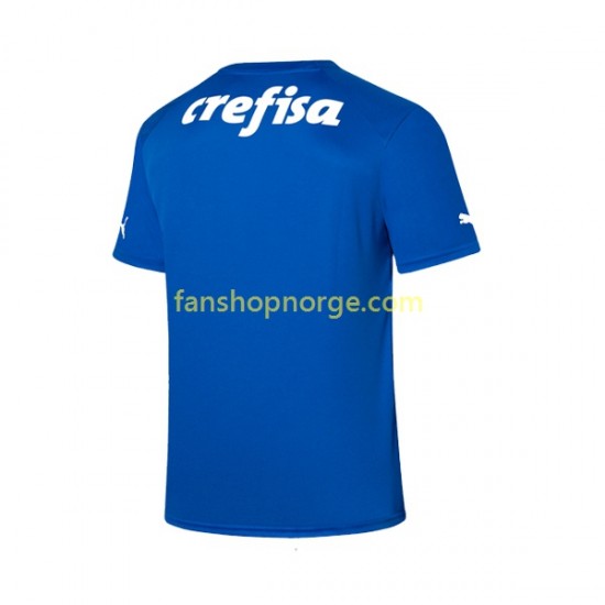 Billige Fotballdrakter Palmeiras Keeper Herre Hjemmedrakt 2023-2024 Kortermet