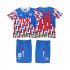 Billige Fotballdrakter AFC Ajax BERGKAMP 10 1989 1990 Retro Barn Bortedrakt Langermet