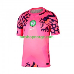 Billige Fotballdrakter Nigeria Keeper Herre 2026 Kortermet