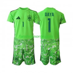 Billige Fotballdrakter Spania David Raya 1 6th Green color Keeper Barn World Cup 2026 Kortermet