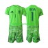 Billige Fotballdrakter Spania David Raya 1 6th Green color Keeper Barn World Cup 2026 Kortermet