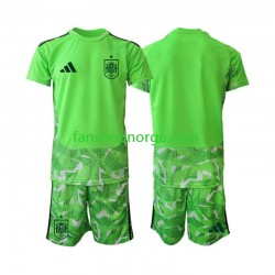 Billige Fotballdrakter Spania 6th Green color Keeper Barn World Cup 2026 Kortermet