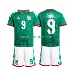 Billige Fotballdrakter Mexico Raul Jimenez 9 Barn Hjemmedrakt World Cup 2026 Kortermet