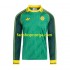 Billige Fotballdrakter Celtic Special Herre Hjemmedrakt 2024 Langermet