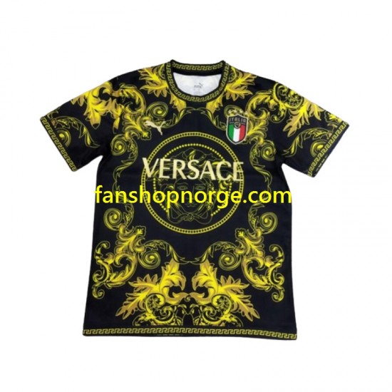 Billige Fotballdrakter Italia Special Herre 2024 Kortermet