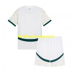 Billige Fotballdrakter Elfenbenskysten Barn Bortedrakt 2025 Kortermet