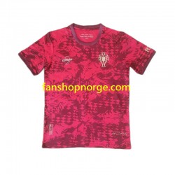 Billige Fotballdrakter Portugal Special Edition Herre Hjemmedrakt Kortermet
