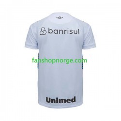 Billige Fotballdrakter Gremio Herre Bortedrakt 2023-2024 Kortermet