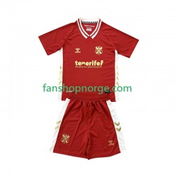 Billige Fotballdrakter CD Tenerife Barn Bortedrakt 2025-2026 Kortermet