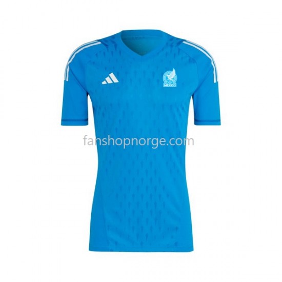 Billige Fotballdrakter Mexico Keeper Herre Bortedrakt 2022 Kortermet