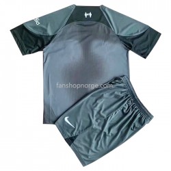 Billige Fotballdrakter Liverpool Barn Bortedrakt 2022-2023 Kortermet