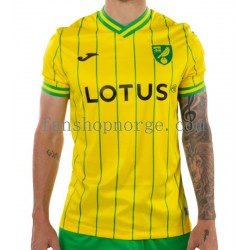 Billige Fotballdrakter Norwich City Herre Hjemmedrakt 2022-2023 Kortermet