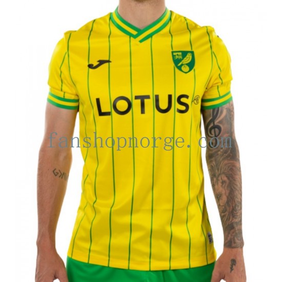 Billige Fotballdrakter Norwich City Herre Hjemmedrakt 2022-2023 Kortermet