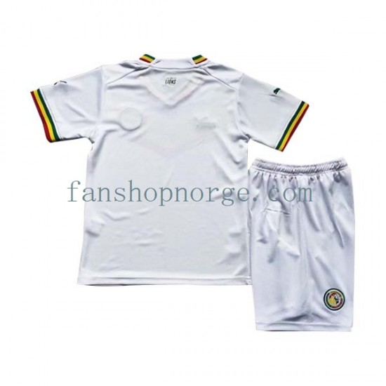 Billige Fotballdrakter Senegal Barn Hjemmedrakt World Cup 2022 Kortermet
