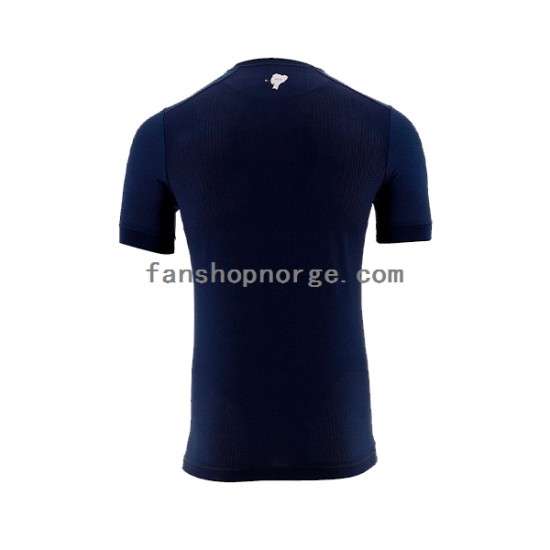 Billige Fotballdrakter Ecuador Herre Bortedrakt World Cup 2022 Kortermet