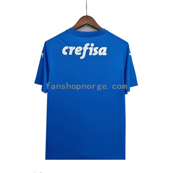 Billige Fotballdrakter Palmeiras Keeper Herre Bortedrakt 2022-2023 Kortermet