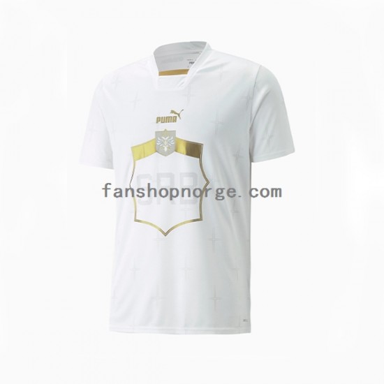 Billige Fotballdrakter Serbia Herre Bortedrakt World Cup 2022 Kortermet