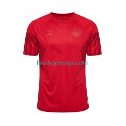 Billige Fotballdrakter Danmark Herre Hjemmedrakt World Cup 2022 Kortermet