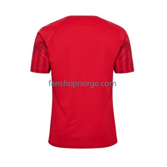 Billige Fotballdrakter Danmark Herre Hjemmedrakt World Cup 2022 Kortermet