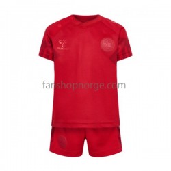 Billige Fotballdrakter Danmark Barn Hjemmedrakt World Cup 2022 Kortermet