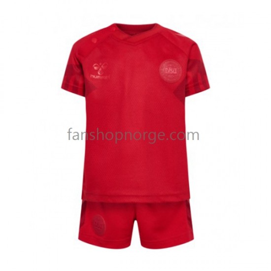 Billige Fotballdrakter Danmark Barn Hjemmedrakt World Cup 2022 Kortermet