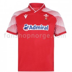 Billige Fotballdrakter Wales Rugby 7S Hjemmedrakt 2020-2021 Kortermet