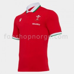 Billige Fotballdrakter Wales Rugby Classic Hjemmedrakt 2020-2021 Kortermet