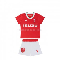 Billige Fotballdrakter Wales Rugby Barn Hjemmedrakt 2020-2021 Kortermet